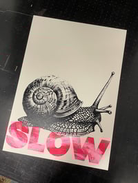 Image 2 of Slow & Steady 