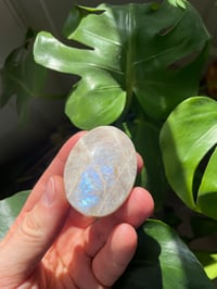 Image 1 of Moonstone Palm Crystal (3)