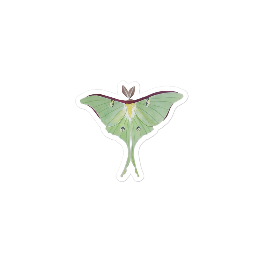 3"x3" Luna Moth Sticker