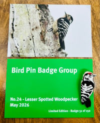 Image 1 of Lesser Spotted Woodpecker - No.24 - Bird Pin Group Series