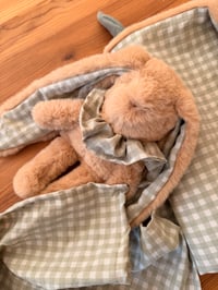 Image 1 of DUO A ADOPTER DÉPART SOUS 48H