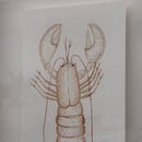Image 2 of £50 originals - Lobster watercolour & tea