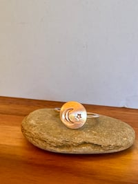 Image 8 of The Paw & the Moon 