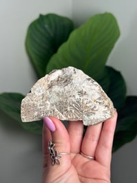 Image 1 of SELF STANDING DENDRITIC FELDSPAR -ITALY- G