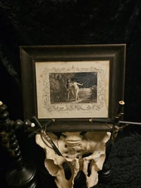 Image 2 of STATEMENT " Expulsion of paradise" Preserved Web  Framed In Antique Frame 