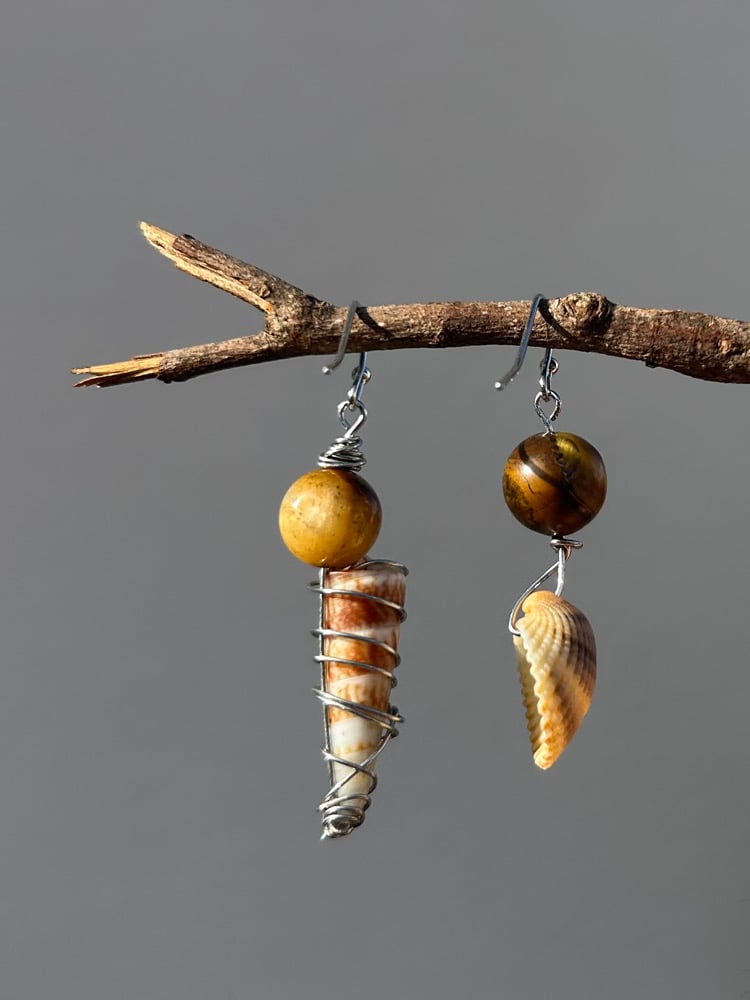 Image of ✧Tigers Eye Shell Earrings