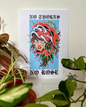 No thorns, no rose 