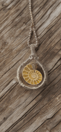 Image 3 of Ammonite (Floating Pendant)