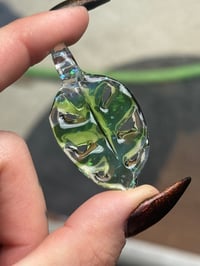 Image 2 of Monstera Leaf - Plantphibian + Crushed Opal