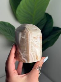 Image 2 of BANDED CALCITE FREEFORM -UTAH- D