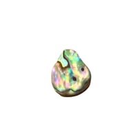 Image 1 of Abalone option 11