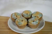 Image 2 of Moldy Mini Muffins
