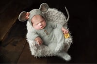 Image 1 of The Quiet Little Mouse 