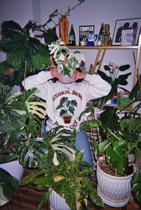 Image 1 of Botanical Brown Plant Shop 