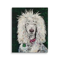 Image 3 of Standard Poodle with Whispies