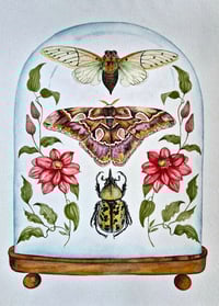 Image 2 of March Dome ORIGINAL ARTWORK