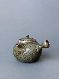 Mossy Shino Kyusu - 210ml