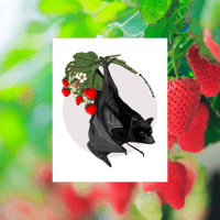 Image 1 of B&B Strawberry Bat Poster