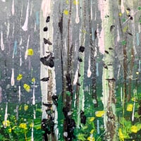 Image 4 of Rainy Birches