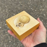 Image 2 of “PASSED TO THE PAST”