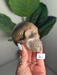 Image 12 of CHOOSE YOUR OWN SEA JASPER SKULL -MADAGASCAR-