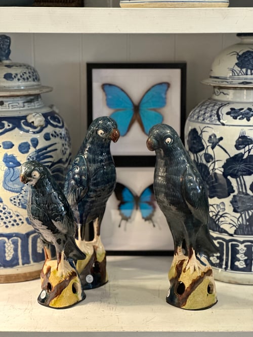 Image of Inky Blue Glazed Parrot