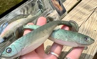 Image 4 of G6 PRO Hand Poured Swimbaits - “SWEETPEA”