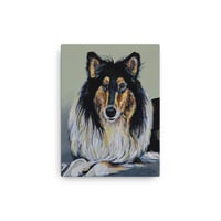 Image 4 of Intelligent Collie