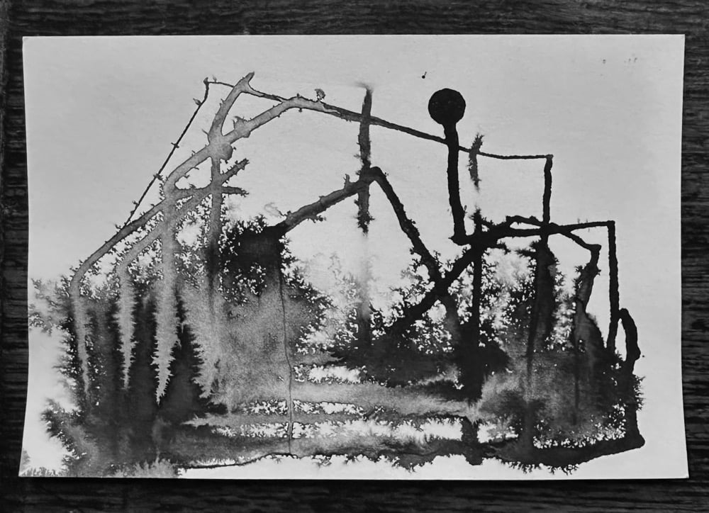 Postcard Collection No. 42