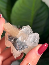 Image 5 of BOWTIE STILBITE X DIAMOND APOPHYLITE -INDIA- G