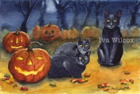 Black Cats 5”x7” print