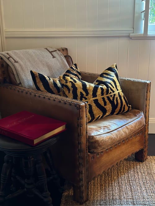 Image of Ikat Velvet Cushion Tiger Stripe