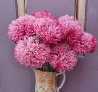 Image 4 of Peony Poppy seed
