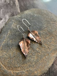 Image 1 of Birch Leaf Earrings ~ Copper