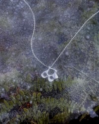 Image 1 of Rock Pool Pendant