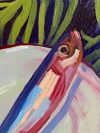 Image 4 of Sardine Lying Amongst the Palms