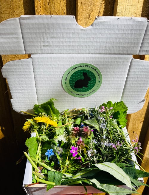 Image of Fresh wild forage box