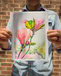 Image 1 of Tulip Tree Study, Gouche, Archival Print