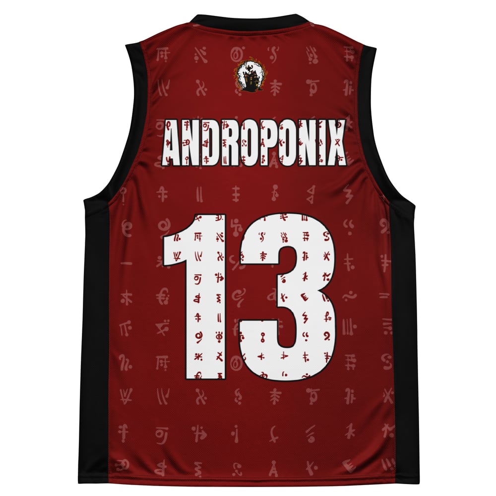 Androponis Heiroglyphics Basketball Jersey