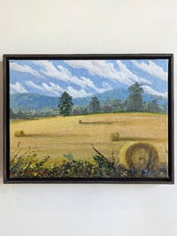 Image 7 of Candler Hay Bales