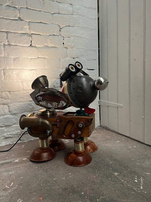 Image of Curly Bumtrumpet