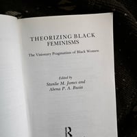 Image 2 of Theorizing Black Feminisms