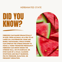 Image 3 of Red Reign – Fibroid & Cyst Cleanse 