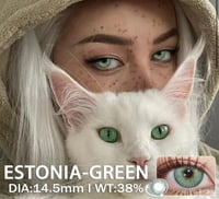 Image 5 of Estonia collection doll 14.5