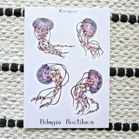 Image 2 of Jellyfish Sheet