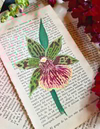 Image 2 of Life in Old Pages Botanical n.2 Zygopetalum
