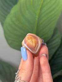 Image 2 of TUMBLED AGATE #51 -LAGUNA-