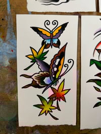 Butterflies and Maples