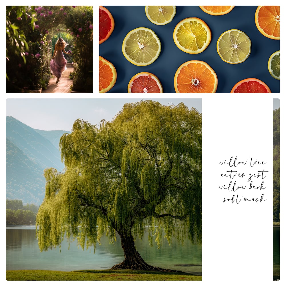 Image of Willow Women’s Perfume