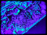 Image 15 of NeoDriFT TEXTURE 12X12" UV